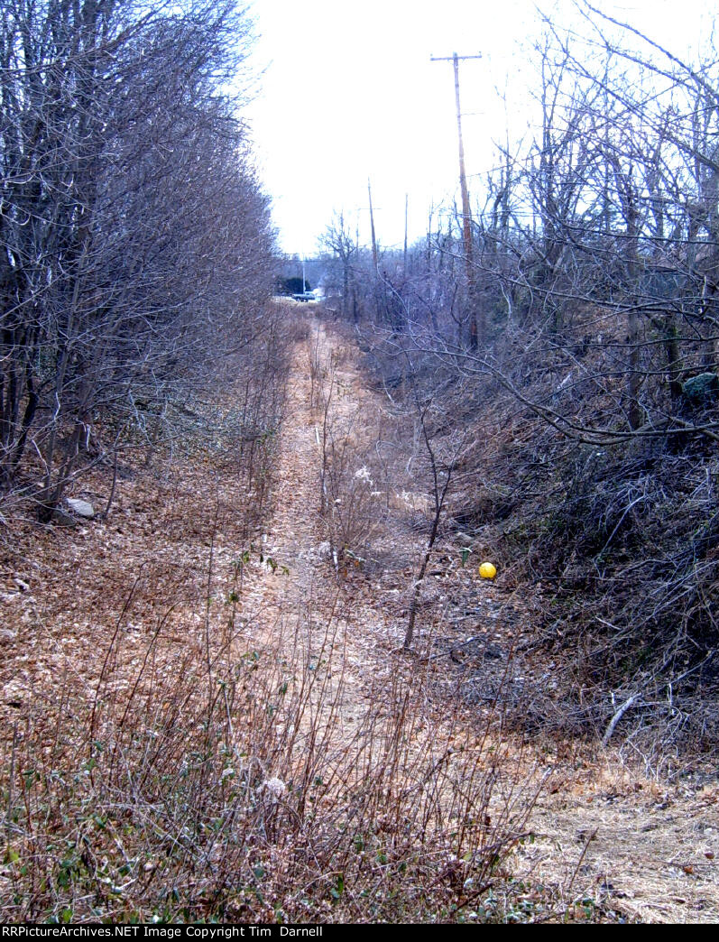 Looking west from Newtown